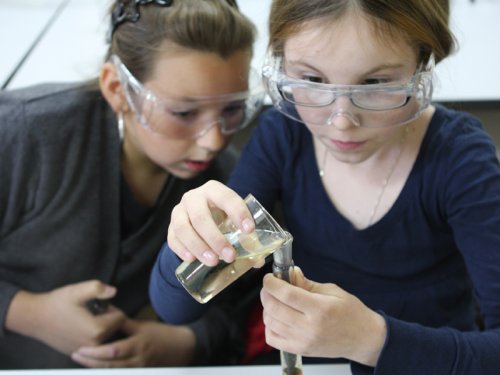 Умные как химики