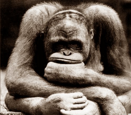 жизненный опыт