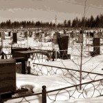 Мёртвые души