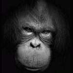 Сказка для взрослых