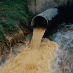 Источник нетерпимости