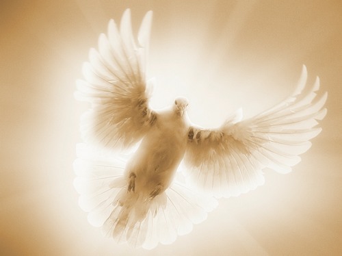 святой дух сила бога