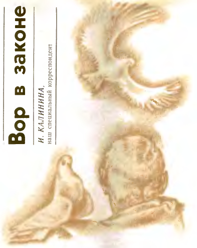 вор в законе